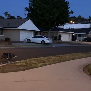 Meet your Posher, Kat